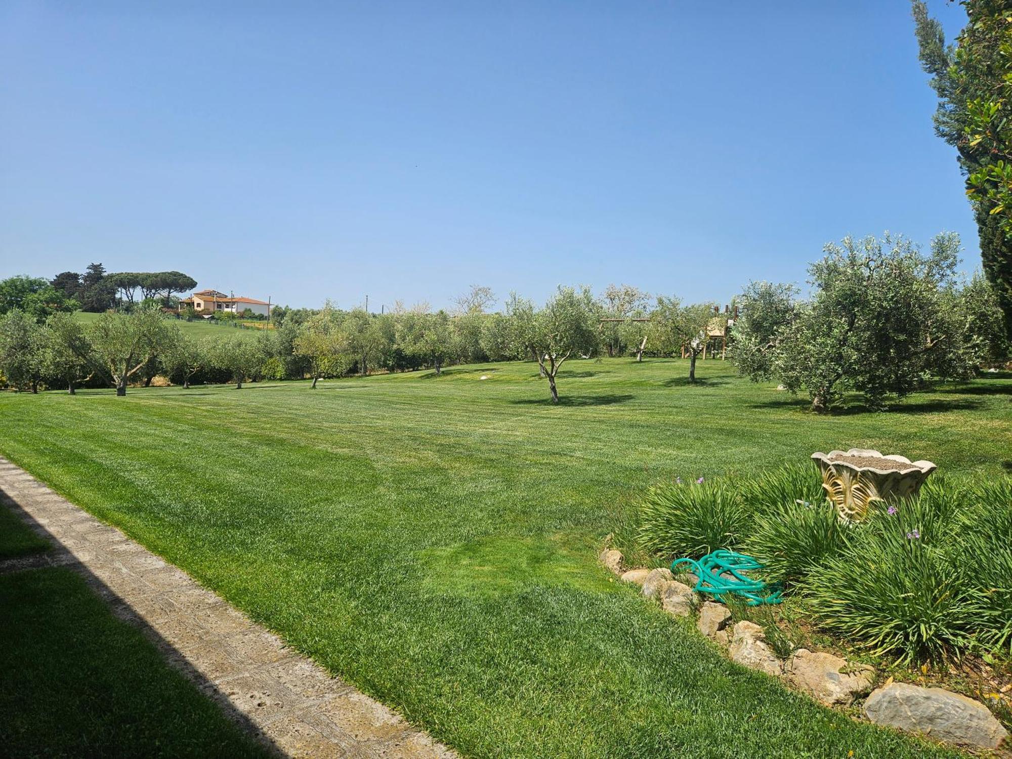 Agriturismo Il Migliarino Rispescia Ngoại thất bức ảnh